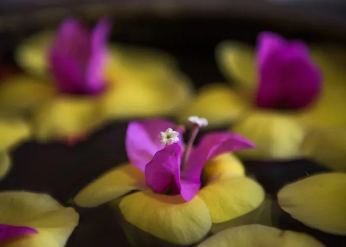 Hotel Galaxy Angkor Boutique
